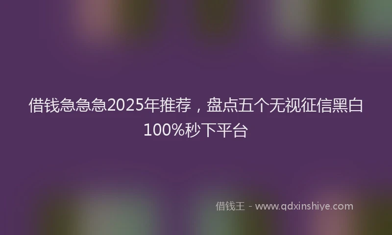 借钱急急急2025年推荐，盘点五个无视征信黑白100%秒下平台