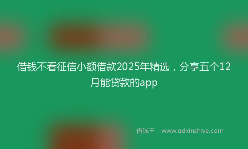 借钱不看征信小额借款2025年精选，分享五个12月能贷款的app