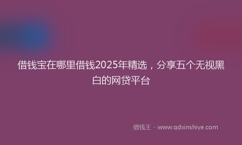 借钱宝在哪里借钱2025年精选，分享五个无视黑白的网贷平台