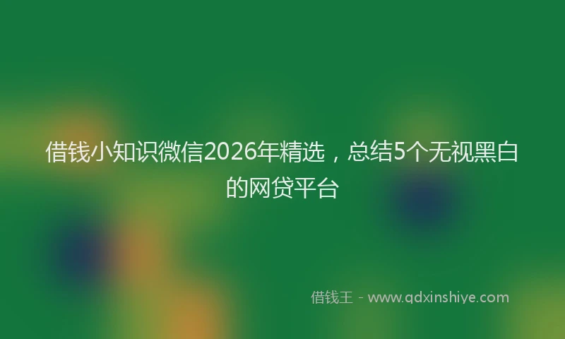借钱小知识微信2026年精选,总结5个无视黑白的网贷平台