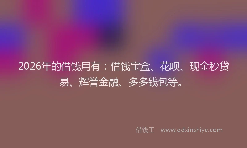 2026年的借钱用有：借钱宝盒、花呗、现金秒贷易、辉誉金融、多多钱包等。