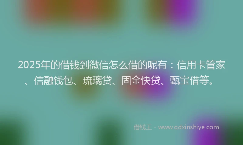 2025年的借钱到微信怎么借的呢有：信用卡管家、信融钱包、琉璃贷、固金快贷、甄宝借等。