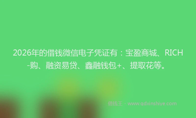 2026年的借钱微信电子凭证有：宝盈商城、RICH-购、融资易贷、鑫融钱包+、提取花等。