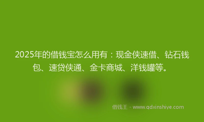 2025年的借钱宝怎么用有：现金侠速借、钻石钱包、速贷侠通、金卡商城、洋钱罐等。