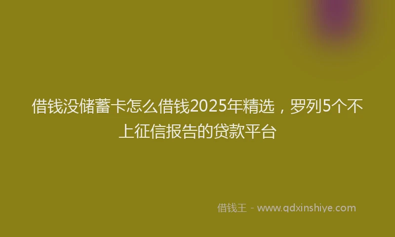借钱没储蓄卡怎么借钱2025年精选，罗列5个不上征信报告的贷款平台