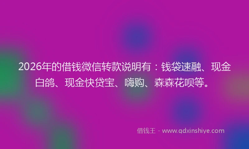 2026年的借钱微信转款说明有：钱袋速融、现金白鸽、现金快贷宝、嗨购、森森花呗等。