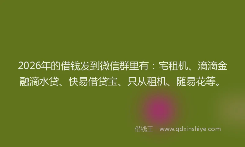 2026年的借钱发到微信群里有：宅租机、滴滴金融滴水贷、快易借贷宝、只从租机、随易花等。