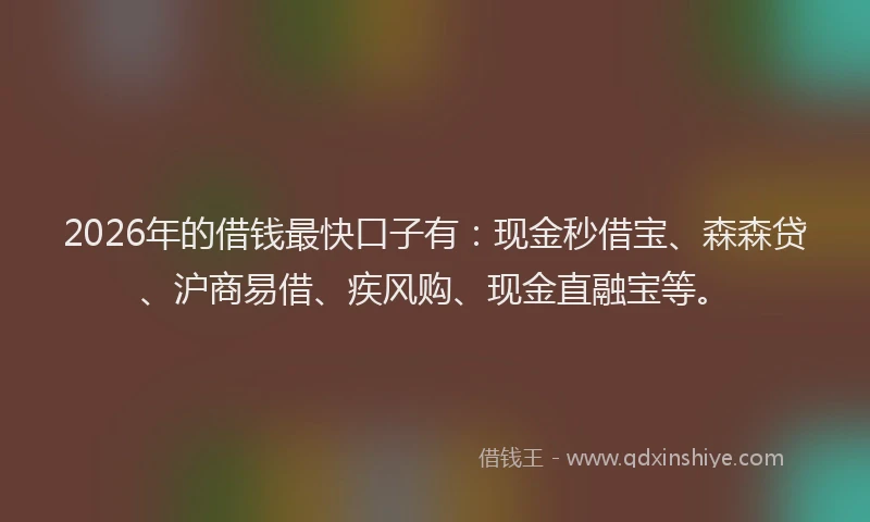 2026年的借钱最快口子有:现金秒借宝、森森贷、沪商易借、疾风购、现金直融宝等。