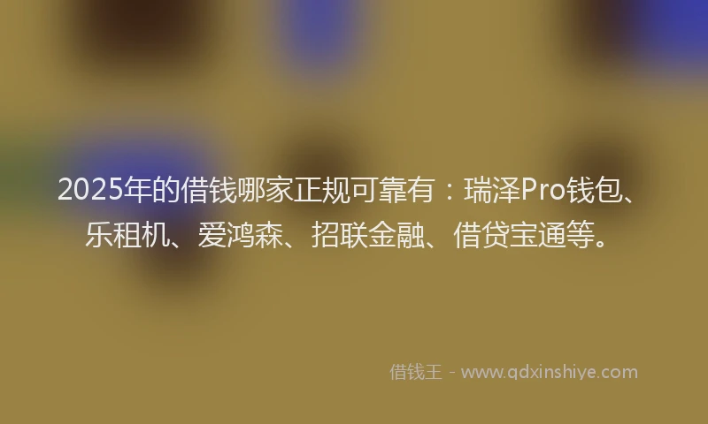 2025年的借钱哪家正规可靠有:瑞泽Pro钱包、乐租机、爱鸿森、招联金融、借贷宝通等。