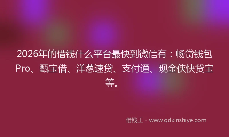 2026年的借钱什么平台最快到微信有:畅贷钱包Pro、甄宝借、洋葱速贷、支付通、现金侠快贷宝等。