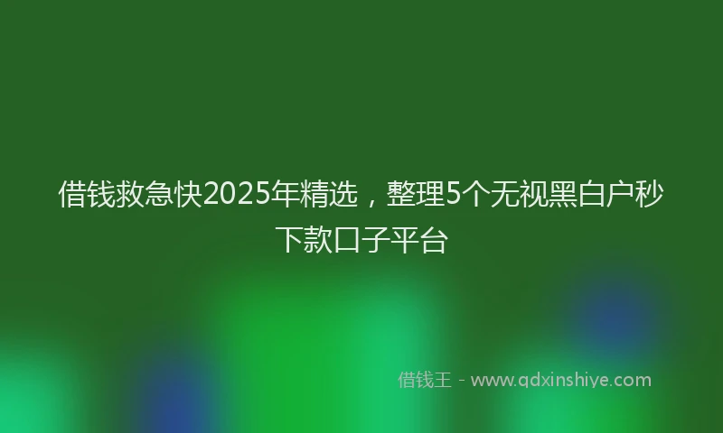 借钱救急快2025年精选，整理5个无视黑白户秒下款口子平台