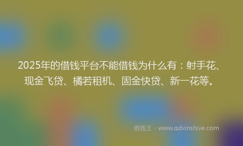2025年的借钱平台不能借钱为什么有：射手花、现金飞贷、橘若租机、固金快贷、新一花等。