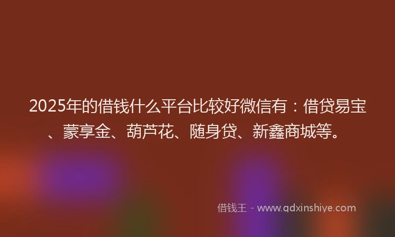 2025年的借钱什么平台比较好微信有：借贷易宝、蒙享金、葫芦花、随身贷、新鑫商城等。