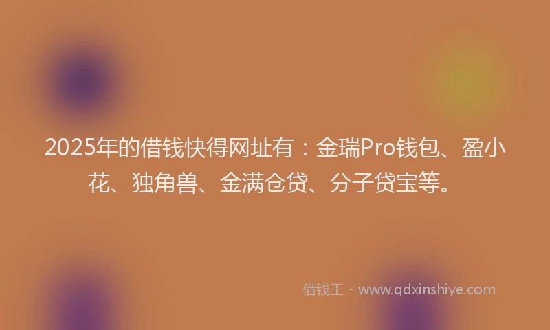 2025年的借钱快得网址有：金瑞Pro钱包、盈小花、独角兽、金满仓贷、分子贷宝等。