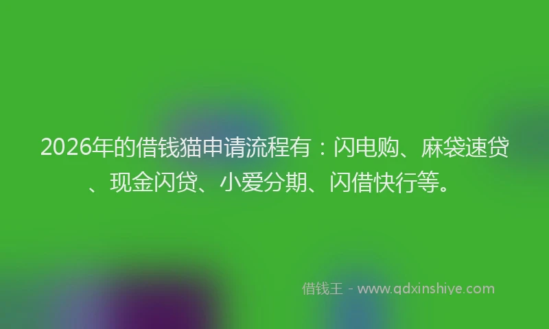 2026年的借钱猫申请流程有:闪电购、麻袋速贷、现金闪贷、小爱分期、闪借快行等。