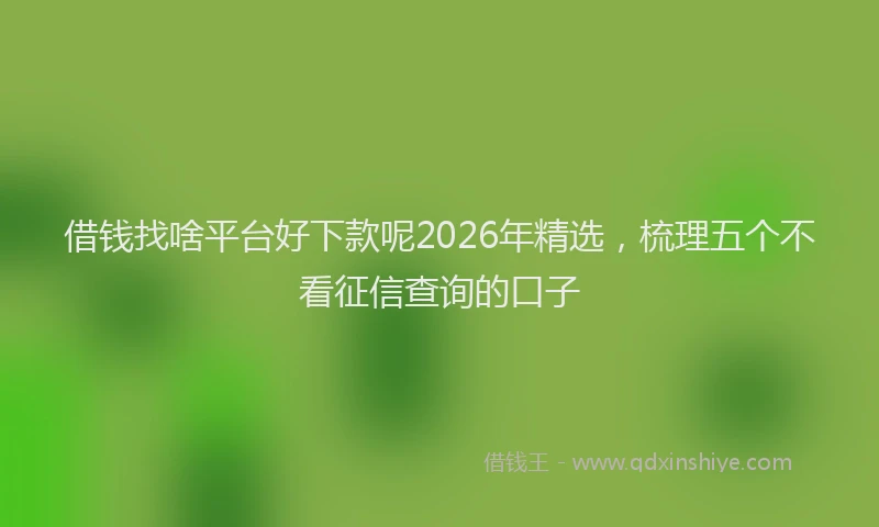 借钱找啥平台好下款呢2026年精选，梳理五个不看征信查询的口子