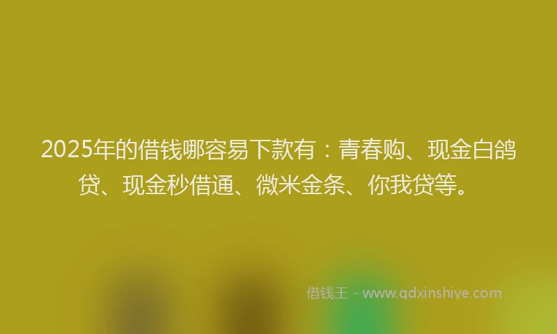 2025年的借钱哪容易下款有:青春购、现金白鸽贷、现金秒借通、微米金条、你我贷等。