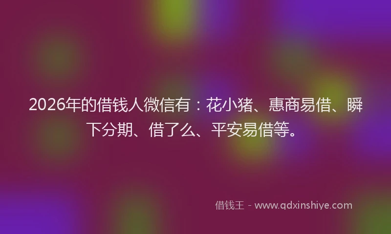 2026年的借钱人微信有:花小猪、惠商易借、瞬下分期、借了么、平安易借等。