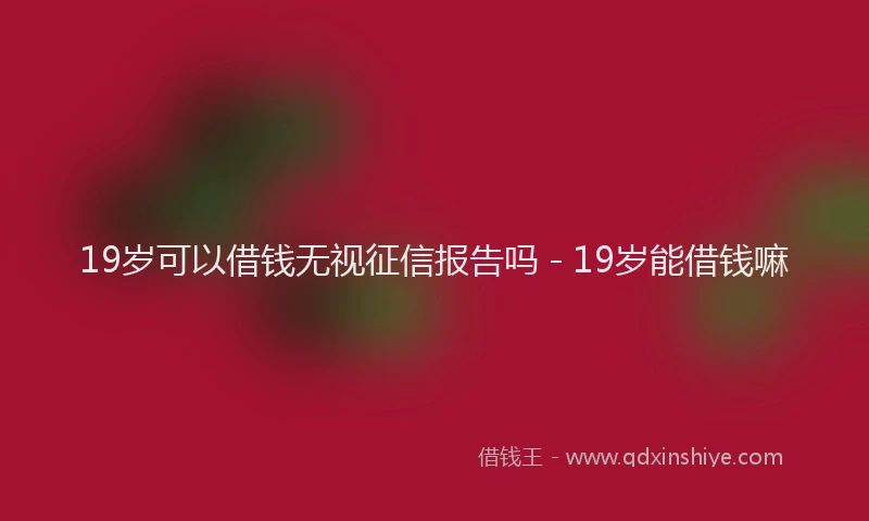 19岁可以借钱无视征信报告吗 - 19岁能借钱嘛