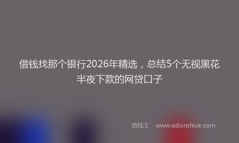 借钱找那个银行2026年精选,总结5个无视黑花半夜下款的网贷口子