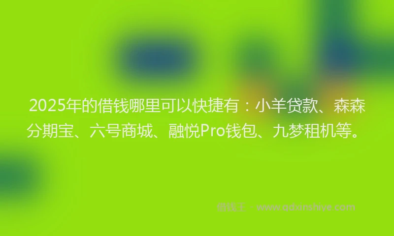 2025年的借钱哪里可以快捷有：小羊贷款、森森分期宝、六号商城、融悦Pro钱包、九梦租机等。