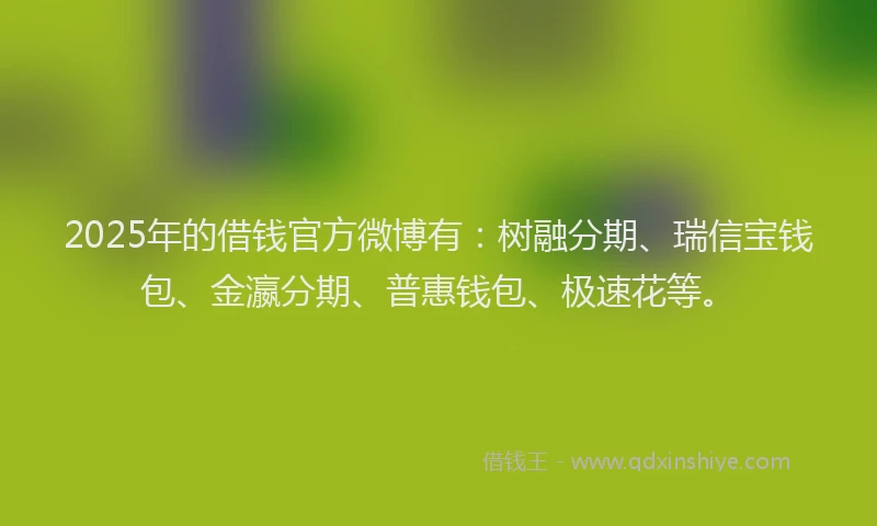2025年的借钱官方微博有：树融分期、瑞信宝钱包、金瀛分期、普惠钱包、极速花等。