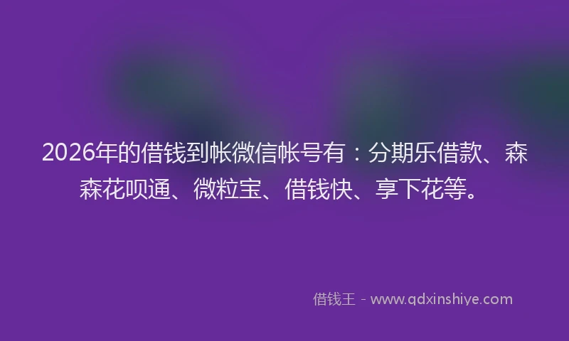 2026年的借钱到帐微信帐号有：分期乐借款、森森花呗通、微粒宝、借钱快、享下花等。