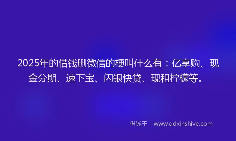 2025年的借钱删微信的梗叫什么有：亿享购、现金分期、速下宝、闪银快贷、现租柠檬等。