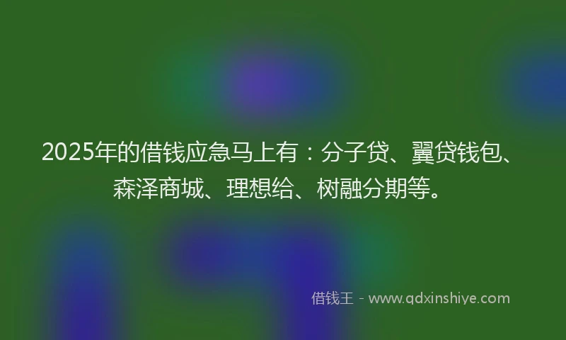 2025年的借钱应急马上有：分子贷、翼贷钱包、森泽商城、理想给、树融分期等。