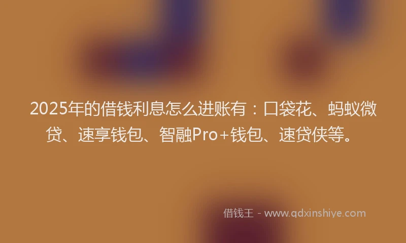 2025年的借钱利息怎么进账有：口袋花、蚂蚁微贷、速享钱包、智融Pro+钱包、速贷侠等。