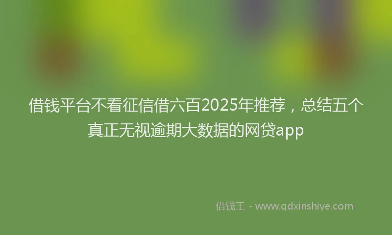 借钱平台不看征信借六百2025年推荐，总结五个真正无视逾期大数据的网贷app