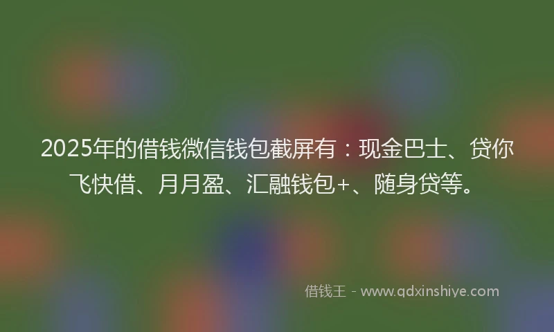 2025年的借钱微信钱包截屏有:现金巴士、贷你飞快借、月月盈、汇融钱包+、随身贷等。