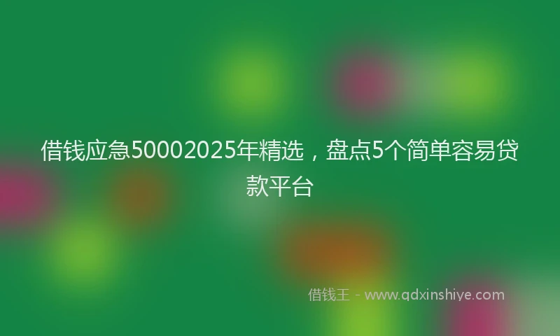 借钱应急50002025年精选，盘点5个简单容易贷款平台