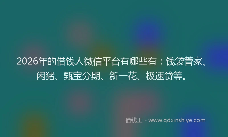 2026年的借钱人微信平台有哪些有:钱袋管家、闲猪、甄宝分期、新一花、极速贷等。