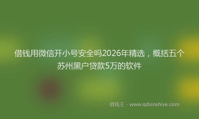 借钱用微信开小号安全吗2026年精选，概括五个苏州黑户贷款5万的软件