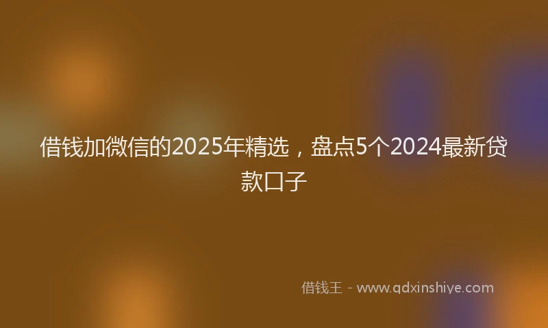 借钱加微信的2025年精选，盘点5个2024最新贷款口子