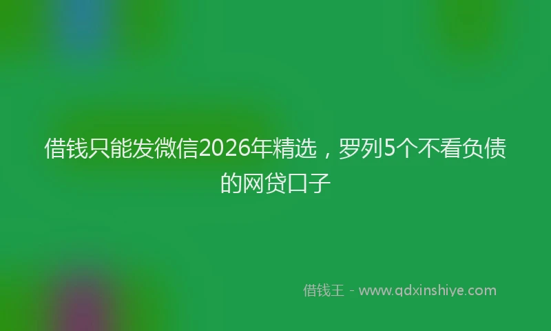 借钱只能发微信2026年精选，罗列5个不看负债的网贷口子