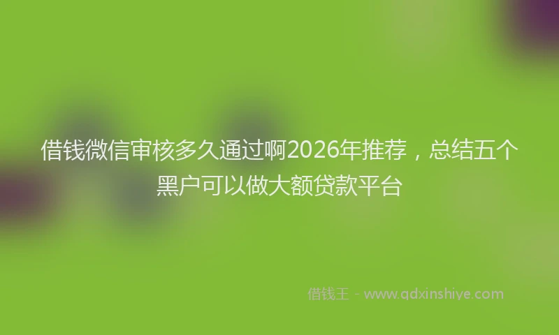 借钱微信审核多久通过啊2026年推荐,总结五个黑户可以做大额贷款平台