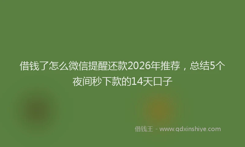 借钱了怎么微信提醒还款2026年推荐，总结5个夜间秒下款的14天口子