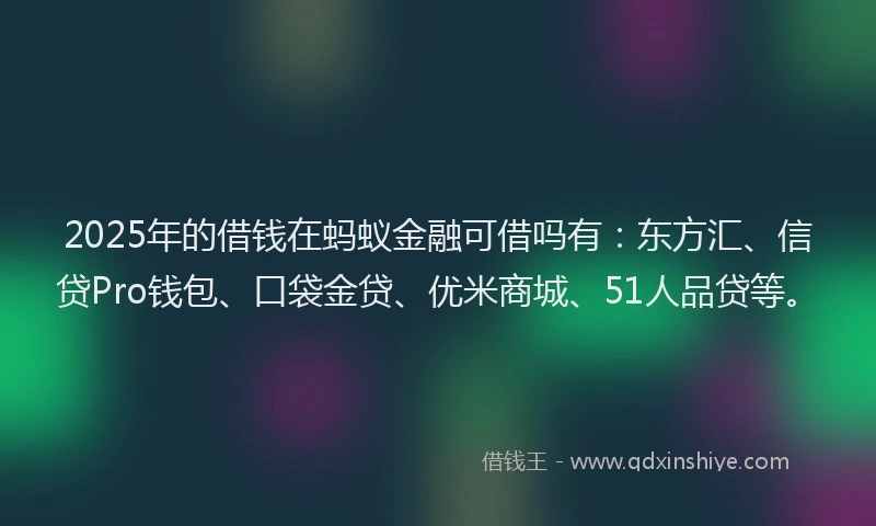 2025年的借钱在蚂蚁金融可借吗有：东方汇、信贷Pro钱包、口袋金贷、优米商城、51人品贷等。