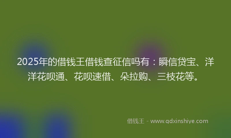 2025年的借钱王借钱查征信吗有：瞬信贷宝、洋洋花呗通、花呗速借、朵拉购、三枝花等。
