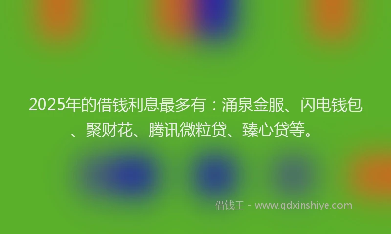 2025年的借钱利息最多有：涌泉金服、闪电钱包、聚财花、腾讯微粒贷、臻心贷等。