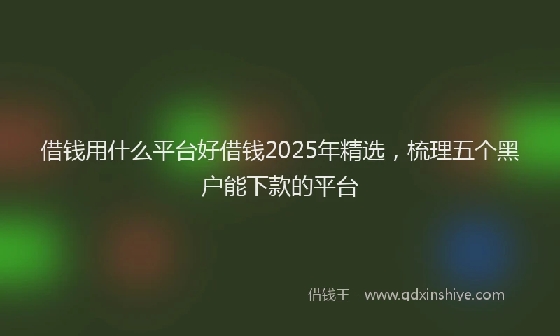 借钱用什么平台好借钱2025年精选，梳理五个黑户能下款的平台