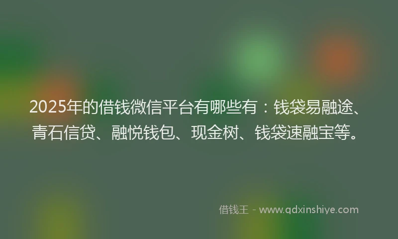 2025年的借钱微信平台有哪些有：钱袋易融途、青石信贷、融悦钱包、现金树、钱袋速融宝等。