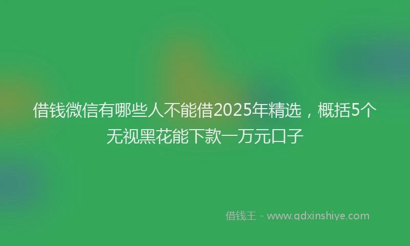 借钱微信有哪些人不能借2025年精选，概括5个无视黑花能下款一万元口子