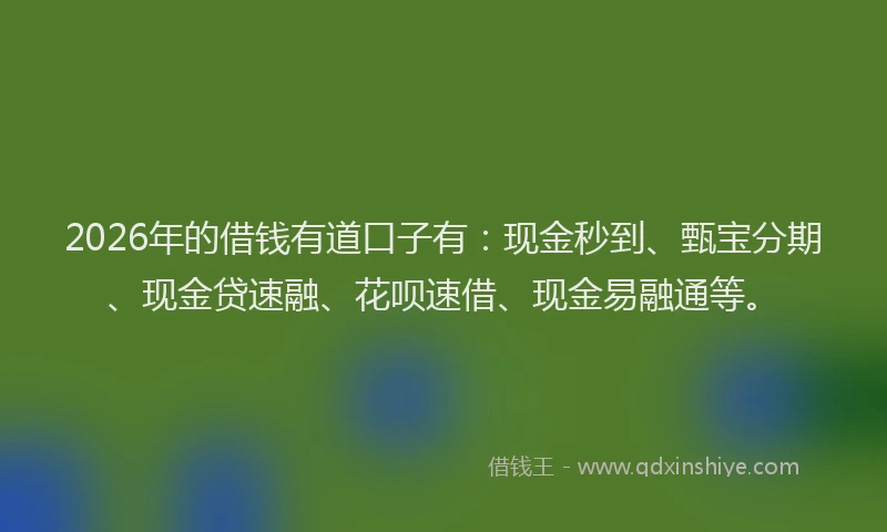 2026年的借钱有道口子有：现金秒到、甄宝分期、现金贷速融、花呗速借、现金易融通等。