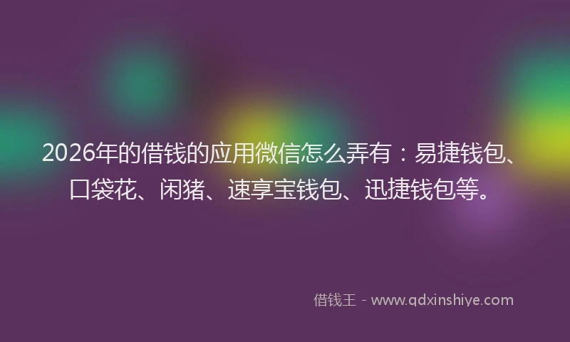 2026年的借钱的应用微信怎么弄有：易捷钱包、口袋花、闲猪、速享宝钱包、迅捷钱包等。