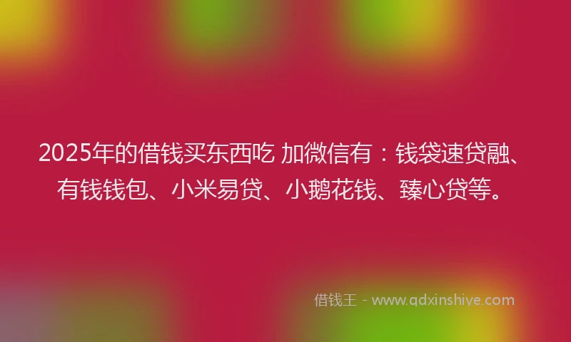 2025年的借钱买东西吃 加微信有：钱袋速贷融、有钱钱包、小米易贷、小鹅花钱、臻心贷等。