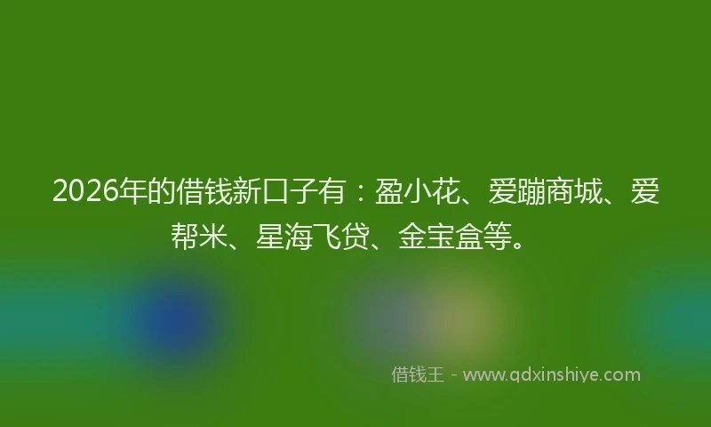 2026年的借钱新口子有：盈小花、爱蹦商城、爱帮米、星海飞贷、金宝盒等。