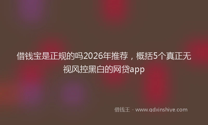 借钱宝是正规的吗2026年推荐，概括5个真正无视风控黑白的网贷app